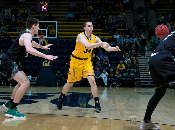 Grant Anticevich (34)