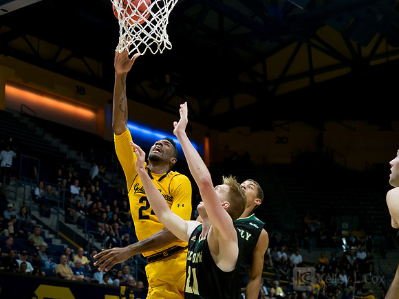 Marcus Lee (24)