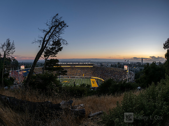 Meorial Stadium