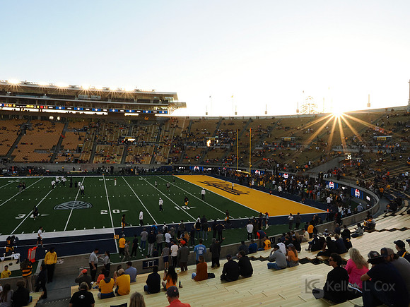 Stadium View
