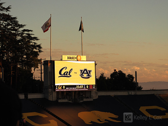 Stadium View