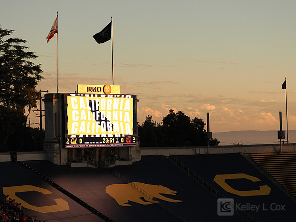 Stadium View