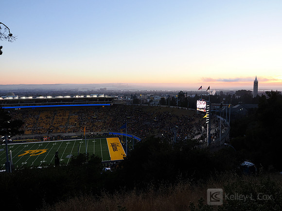 Stadium View