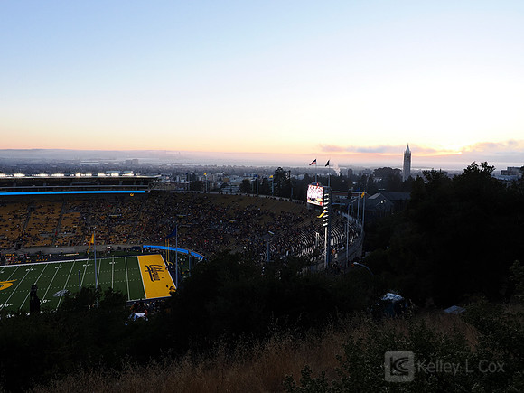 Stadium View