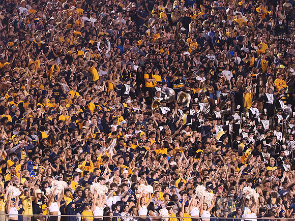 Student Section