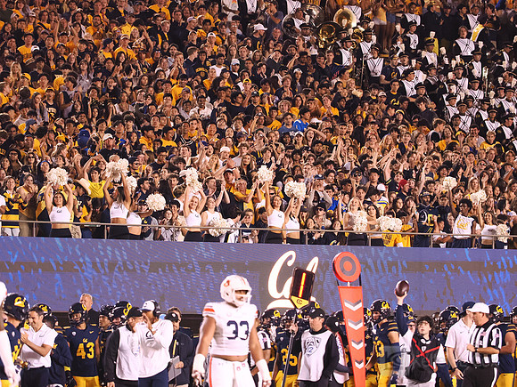 Student Section
