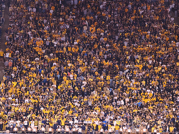 Student Section