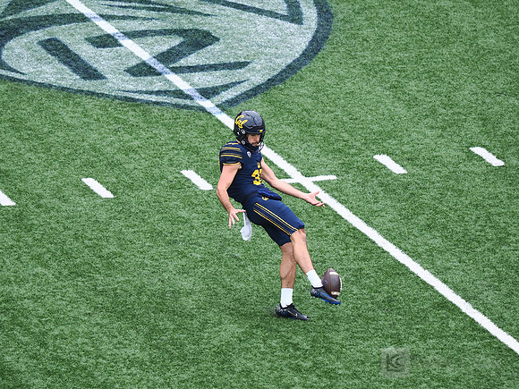 Lachlan Wilson (37)