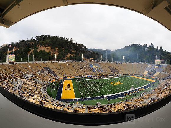 Stadium View