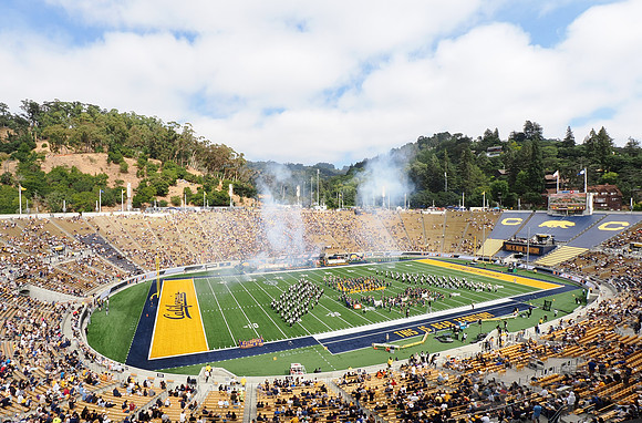 Stadium View