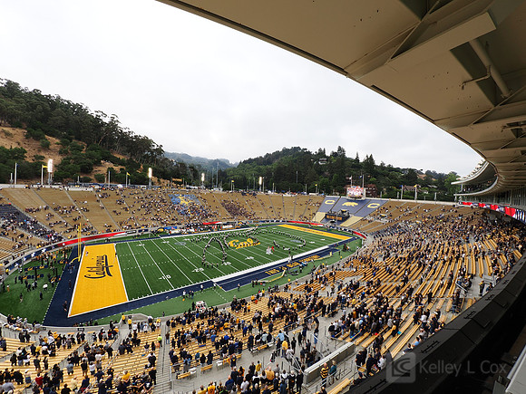Stadium View