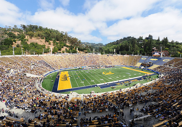 Stadium View