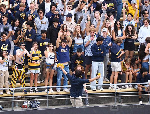 T-Shirt Toss