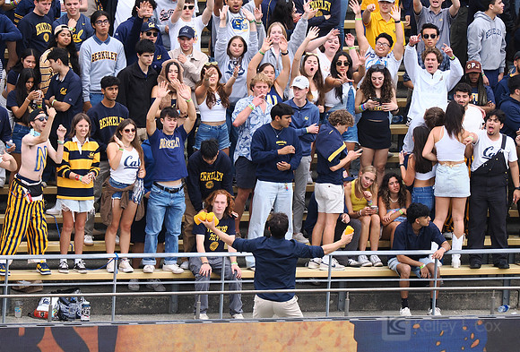 T-Shirt Toss