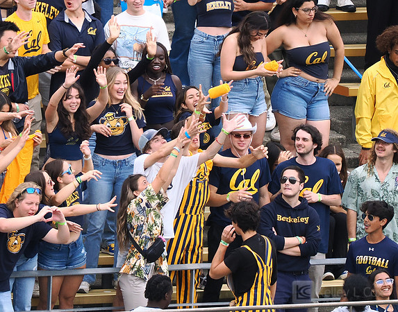 T-Shirt Toss