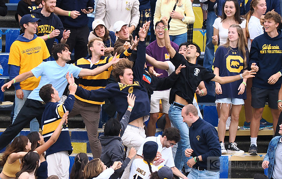 T-Shirt Toss