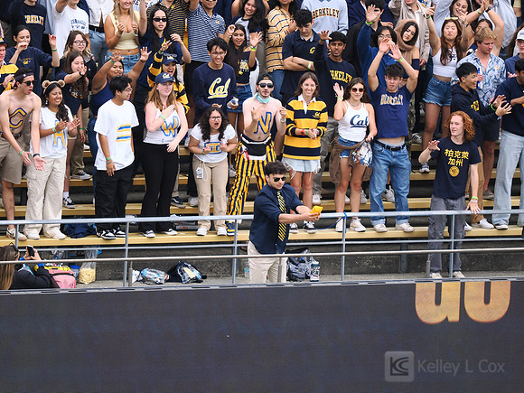 T-Shirt Toss