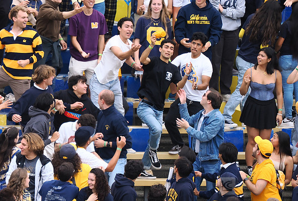 T-Shirt Toss