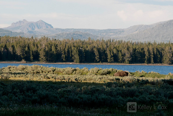 Yellowstone National Park