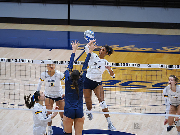 Volleyball: California Golden Bears vs Notre Dame Fighting Irish