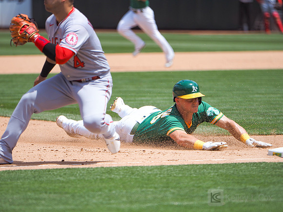 MLB: Los Angeles Angels at Oakland Athletics
