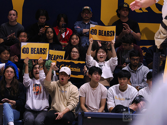 Fans