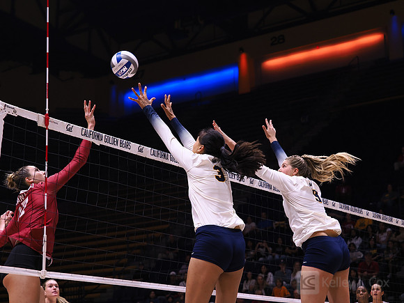 Maggie Li (3), Ellie Hamm (9)