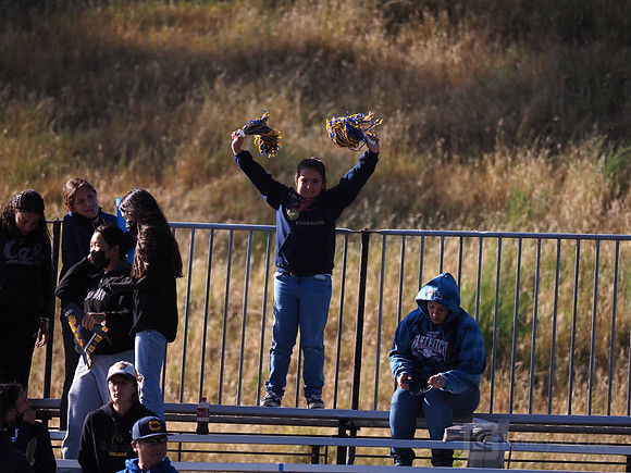 Fans