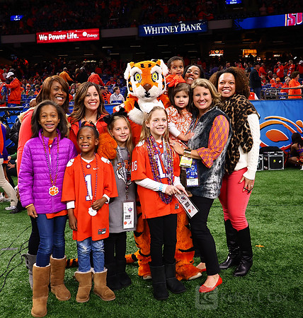Clemson Tigers fans