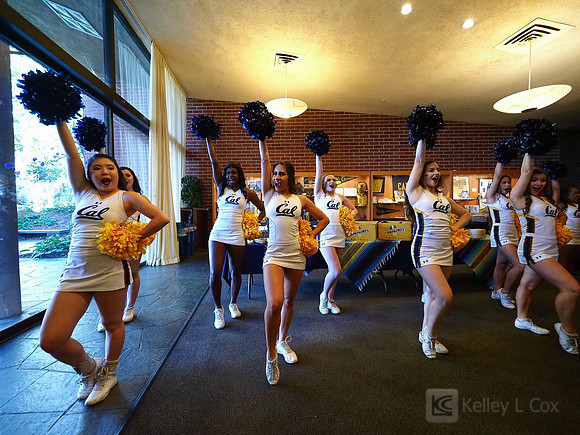 California Alumni Association Hoops Party