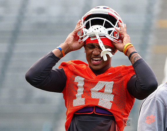 Clemson Tigers wide receiver Diondre Overton (14)