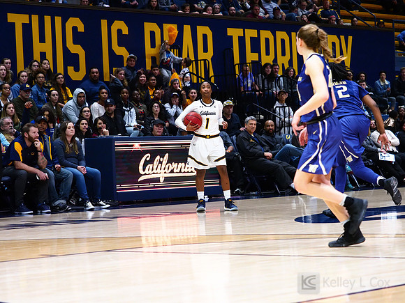 Cal WBB Alumni Reception