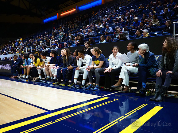 Cal WBB Alumni Reception