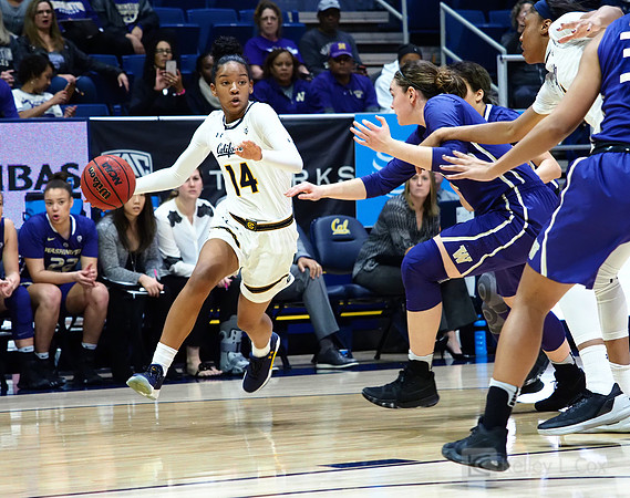 Cal WBB Alumni Reception