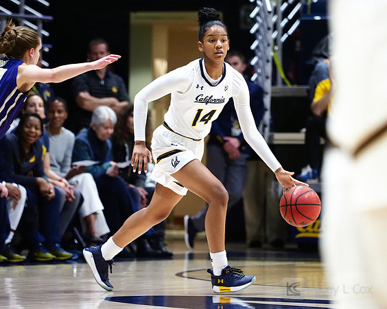 Cal WBB Alumni Reception