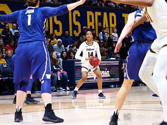 Cal WBB Alumni Reception