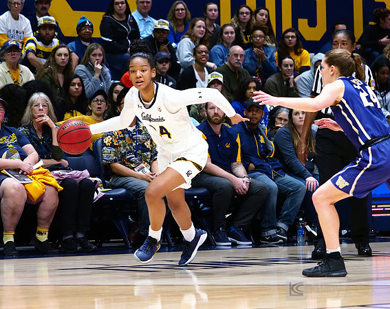 Cal WBB Alumni Reception