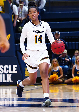Cal WBB Alumni Reception