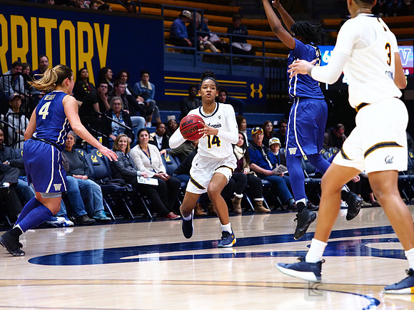 Cal WBB Alumni Reception