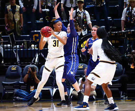 Cal WBB Alumni Reception
