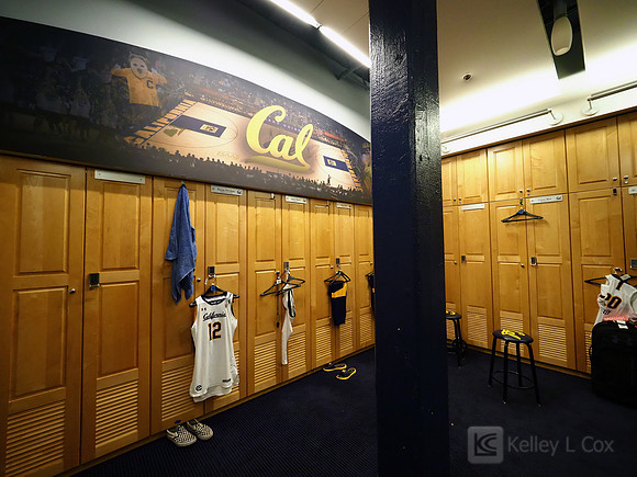 Cal WBB Alumni Reception