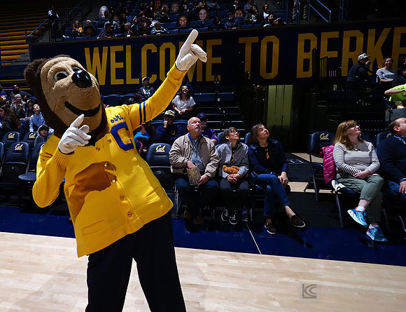 Cal WBB Alumni Reception