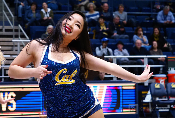 Cal WBB Alumni Reception