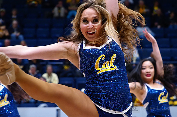 Cal WBB Alumni Reception