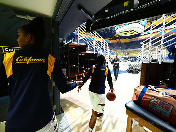 Cal WBB Alumni Reception