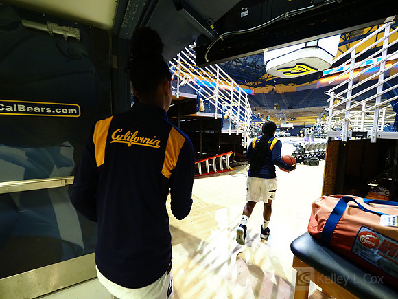 Cal WBB Alumni Reception