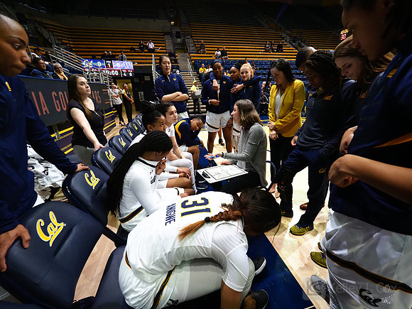 Cal WBB Alumni Reception