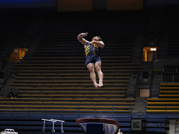 Men’s Gymnastics: California Golden Bears vs Stanford Cardinal