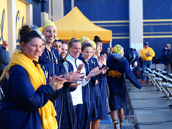 Swimming: California Golden Bears vs Arizona Wildcats