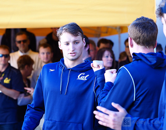 Swimming: California Golden Bears vs Arizona Wildcats